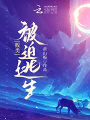 我携秋水揽星河全诗