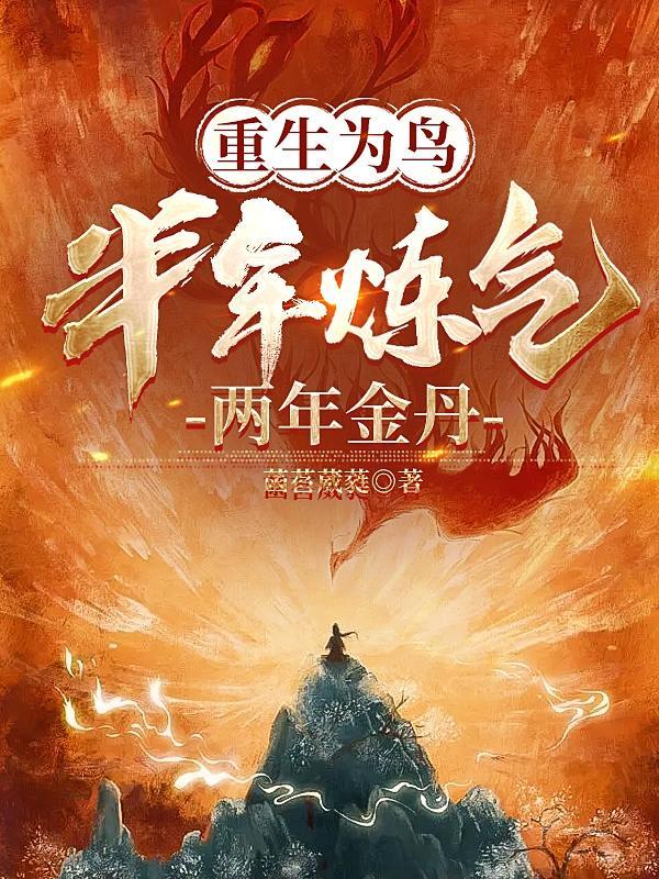 女神的上门豪婿 赵旭全文免费阅读完结版