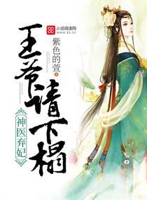 妖孽王妃要休夫完整版